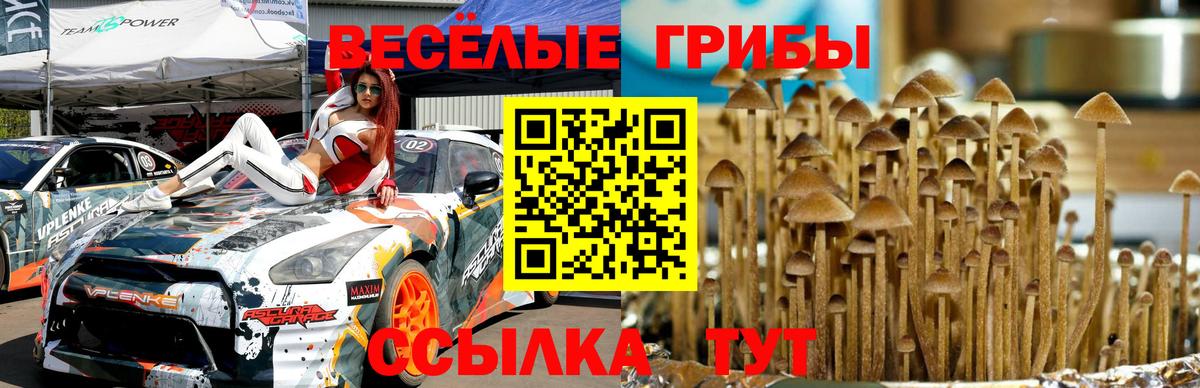 Псилоцибиновые грибы Psilocybine cubensis Рубцовск